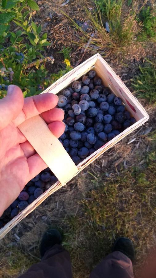E Berry Farm - Slow Life Kaluzna Екстер'єр фото
