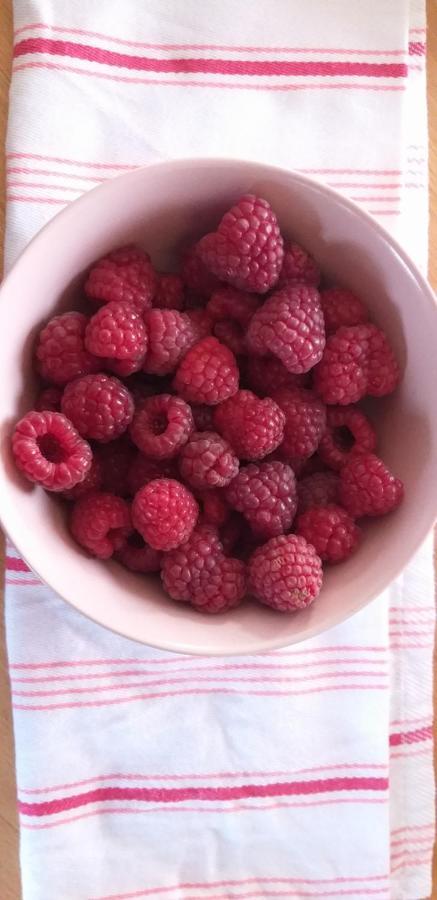 E Berry Farm - Slow Life Kaluzna Екстер'єр фото