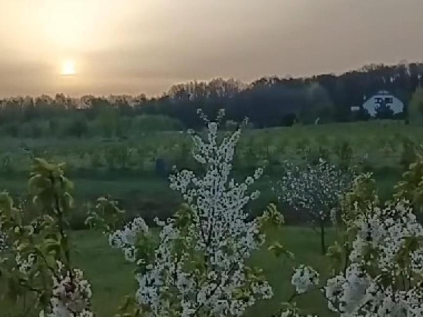 E Berry Farm - Slow Life Kaluzna Екстер'єр фото