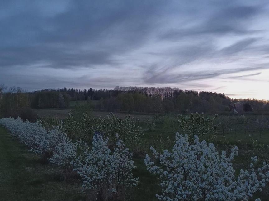E Berry Farm - Slow Life Kaluzna Екстер'єр фото